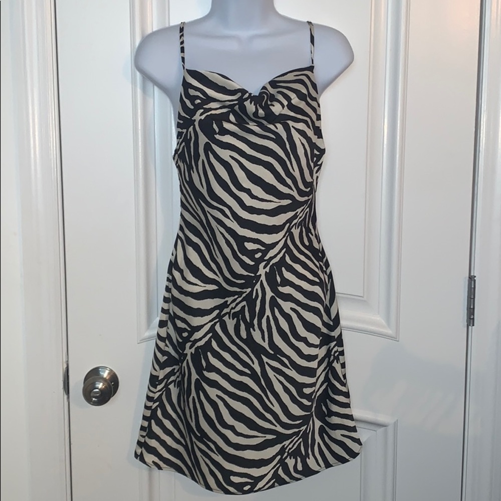 Urban Outfitters Zebra Slip Dress